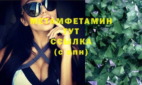 гидра Богданович