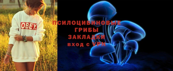 винт Верея