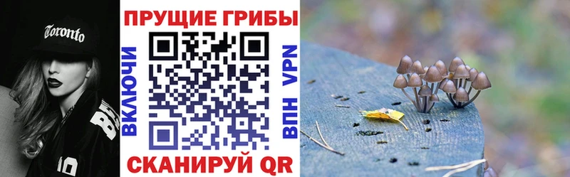 Галлюциногенные грибы Magic Shrooms Донской